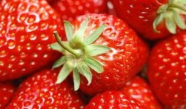 草莓皮肤爆料图片搞笑视频,搞笑视频里的“草莓奇遇记”