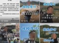 宇哥爆料视频大全集免费观看,免费观看，揭秘幕后真相