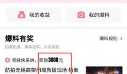新闻头条怎么爆料,揭秘新闻头条背后的爆料故事