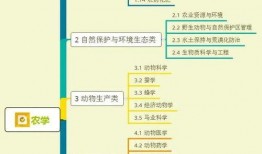 阿迪前妻爆料视频大全集,揭秘婚姻内幕与情感纠葛