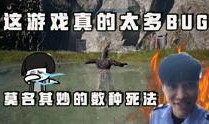 五秒爆料阿飞视频大全集,阿飞视频大全集精彩瞬间回顾