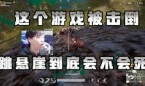 五秒爆料阿飞视频大全集,阿飞视频大全集精彩瞬间回顾